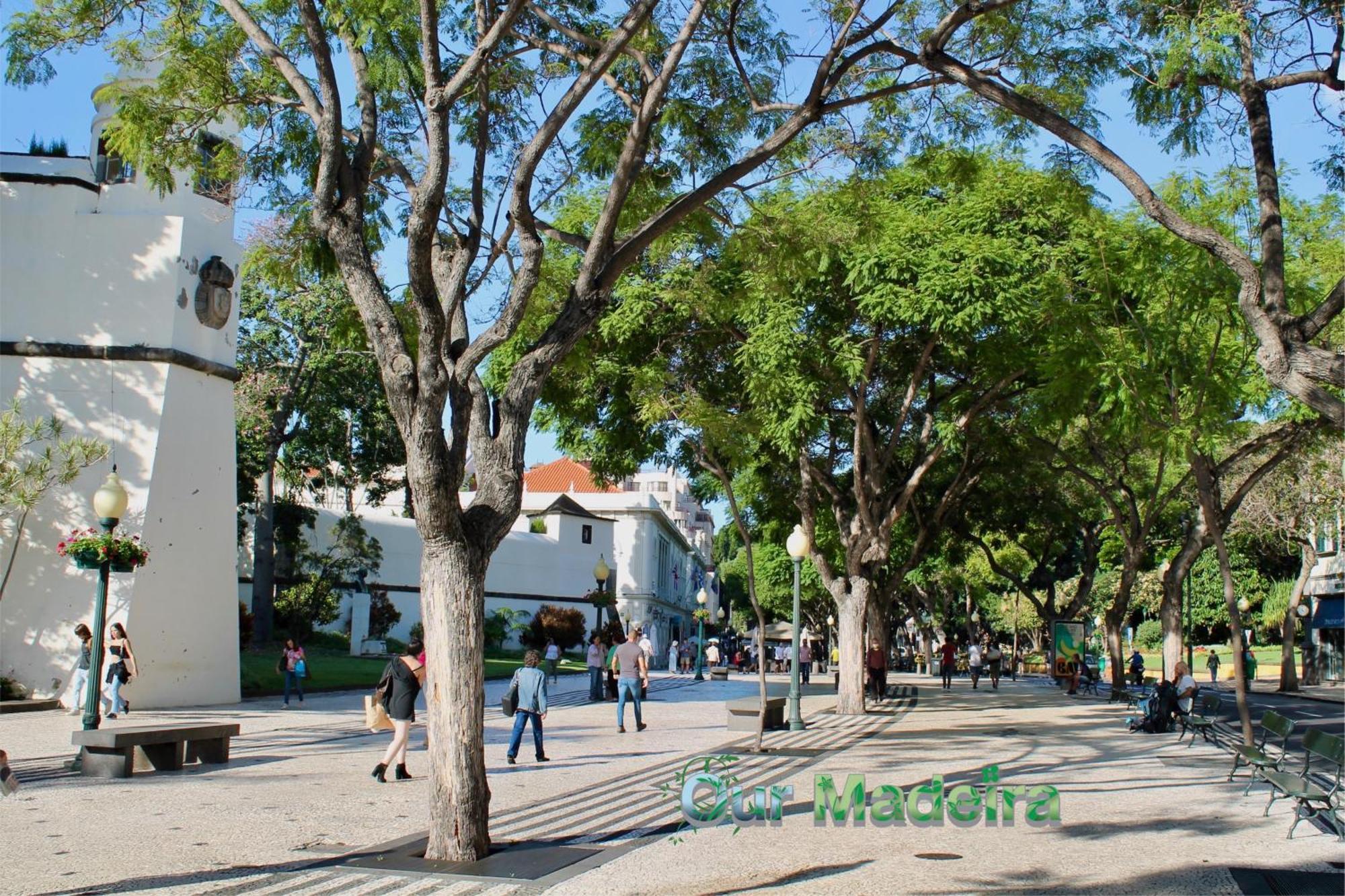 フンシャルOurmadeira - Heart Of Old Town Iアパートメント エクステリア 写真