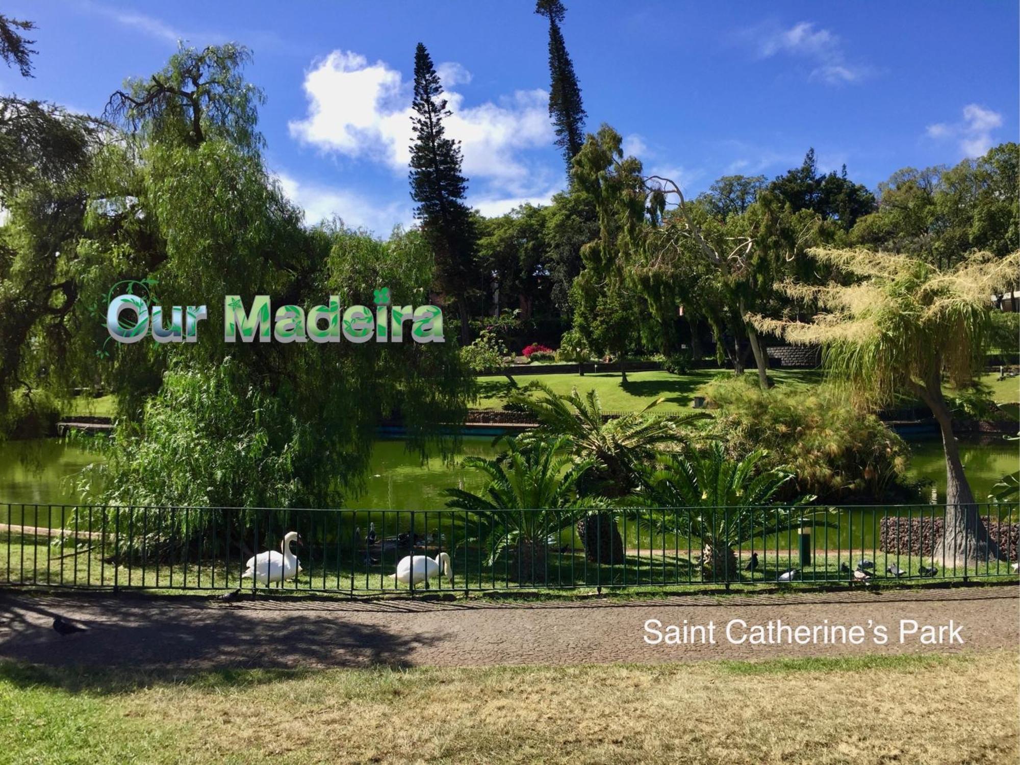 フンシャルOurmadeira - Heart Of Old Town Iアパートメント エクステリア 写真